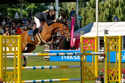 naf five star magic pony grandprix
Keywords: pt;silje frederikke kristoffersen;why not equus