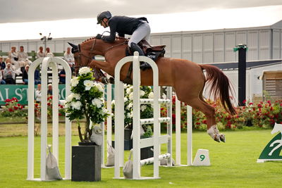 Horseware 7-års Championat hoppning
Keywords: pt;carl-walter fox;chacco de muze ps