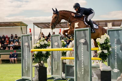 Horseware 7-års Championat hoppning
Keywords: pt;sandra carlsson;simply red