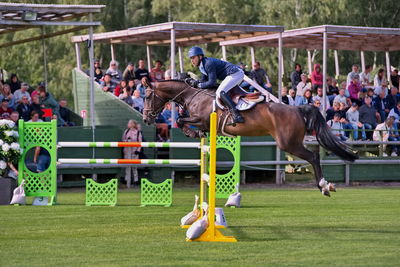 Horseware 7-års Championat hoppning
Keywords: pt;john österdahl;sally gold
