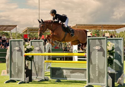 Horseware 7-års Championat hoppning
Keywords: pt;pearson;chique choque vd lentamel z