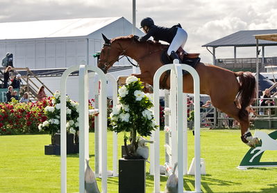 Horseware 7-års Championat hoppning
Keywords: pt;pearson;chique choque vd lentamel z