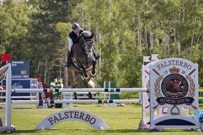 2Folksam Open hoppning 5-åriga hästar
Keywords: pt;caroline knudsen;Diva R