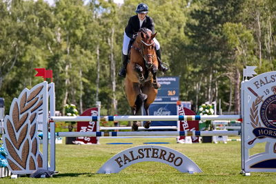 2Folksam Open hoppning 5-åriga hästar
Keywords: pt;anne-katrine kolborg;captain morgan