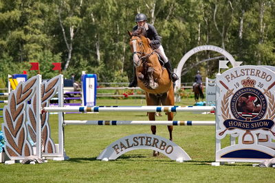 2Folksam Open hoppning 5-åriga hästar
Keywords: pt;sonny sandfeld moisen;coeur de d&#039;or