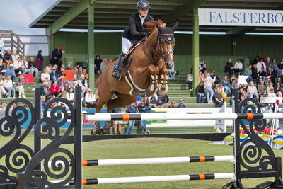 Stiftelsen Falsterbo Horse Show Prize
Keywords: pt;rikke belinda barker;zarco di arezzo z