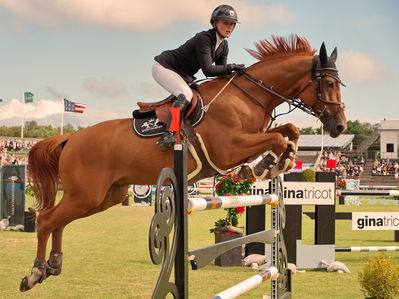 Stiftelsen Falsterbo Horse Show Prize
Keywords: pt;rikke belinda barker;zarco di arezzo z