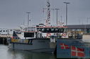 DSC_2598.jpg