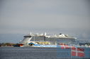 DSC_9019.jpg