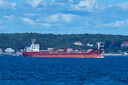 Filename=PT2_2934.jpg
Filesize=4525KiB
Dimensions=4288x2848
Date added=Sep 13, 2025 PT2_2934.jpg