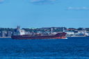 Filename=PT2_2939.jpg
Filesize=4595KiB
Dimensions=4288x2848
Date added=Sep 13, 2025 PT2_2939.jpg