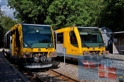 nærumbanen, lokaltog
Keywords: lokaltog;naerumbanen;nærumbanen;rail;fuglevad