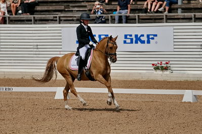 Pony kür finale
Keywords: pt;marlin björklund wolff;kavsgaards dundee