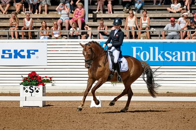 Pony kür finale
Keywords: pt;josephine gert nielsen;b caprinelle