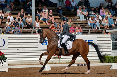 Granprix cdi3
Keywords: pt;anna zibrandtsen;quel filou