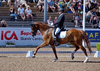 Folksam Open dressyr 6 åriga hästar
Keywords: pt;dennis holst;görklintgaards shaolo