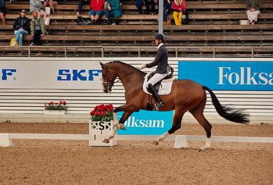 6års dresssur championat finale
Keywords: pt;maria von essen;tjoernelys torento