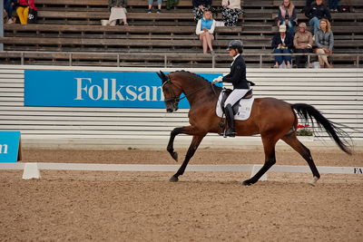 6års dresssur championat finale
Keywords: pt;susanne barnow;skovdals dexter