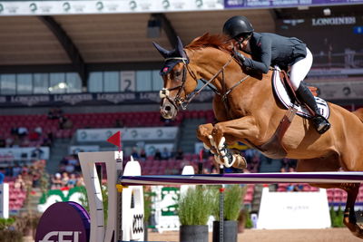 Jumping
CH-M-S Herning 2022 - Jumping
FEI World Team & Individual Jumping Championship
Keywords: pt;victoria gulliksen;equine america papa roach