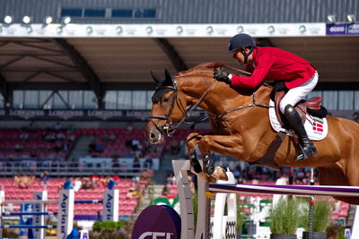 Jumping
CH-M-S Herning 2022 - Jumping
FEI World Team & Individual Jumping Championship
Keywords: pt;lars bak andersen;carl-heinz b