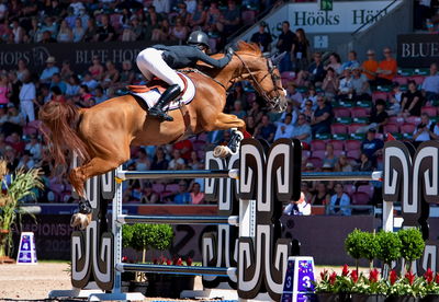 Jumping
Nation cup
Keywords: pt;equine america papa roach;victoria gulliksen