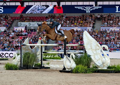 Jumping
nations cup finale
Keywords: pt;victoria gulliksen;equine america papa roach