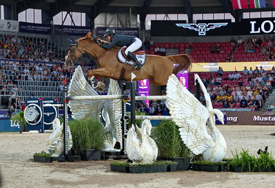 Jumping
nations cup finale
Keywords: pt;victoria gulliksen;equine america papa roach