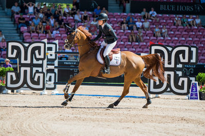 FEI World Jumping Championship - Individual - Second Competition
Keywords: Equine America Papa Roach;Victoria Gulliksen;cp