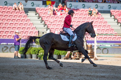 FEI World Jumping Championship - Individual - Second Competition
Keywords: Darc de Lux;andreas schou;cp