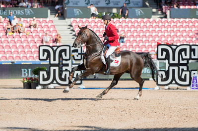 FEI World Jumping Championship - Individual - Second Competition
Keywords: Darc de Lux;andreas schou;cp