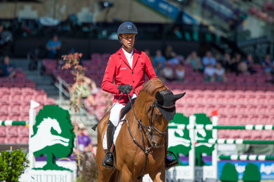 FEI World Team & Individual Jumping Championship - First Competition - Speed
Keywords: Carl-heinz b;cp;lars bak andersen