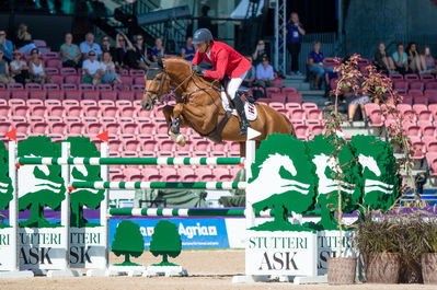 FEI World Team & Individual Jumping Championship - First Competition - Speed
Keywords: Carl-heinz b;cp;lars bak andersen