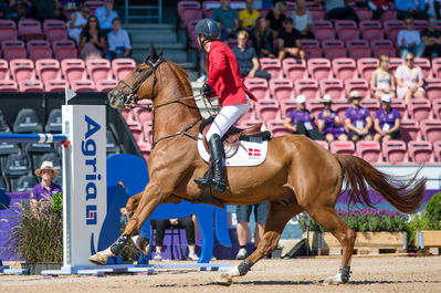 FEI World Team & Individual Jumping Championship - First Competition - Speed
Keywords: Carl-heinz b;cp;lars bak andersen