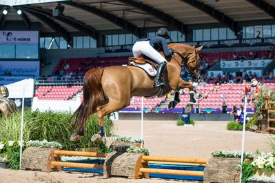 FEI World Team & Individual Jumping Championship - First Competition - Speed
Keywords: Echo de Virton;Marie Valdar Longem;cp