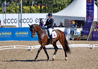 para dressage
CH-M-P Herning 2022 - Para Dressage
Team Grade IV
Keywords: pt;anita hennie johnsen;lindegaard lucky