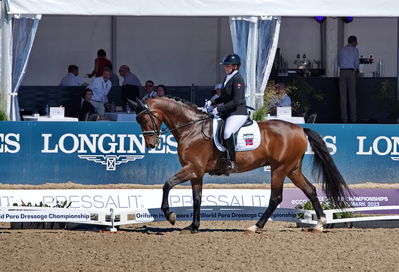 para dressage
CH-M-P Herning 2022 - Para Dressage
Team Grade IV
Keywords: pt;anita hennie johnsen;lindegaard lucky