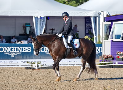 para dressage
CH-M-P Herning 2022 - Para Dressage
Team Grade IV
Keywords: aladdin;jens lasse dokkan;pt