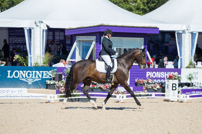 Para Dressage
Team Grade III
Keywords: Ann Cathrin Lübbe;La Costa Majlund;cp