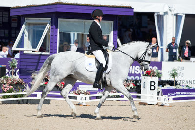 Para Dressage
Grade III
Keywords: Jolene Hill;Tobias Thorning Joergensen;cp