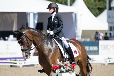 Para Dressage
Team Grade III
Keywords: Karla Dyhm-Junge;Miss Daisy;cp