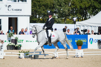 Para Dressage
Grade III
Keywords: Jolene Hill;Tobias Thorning Joergensen;cp