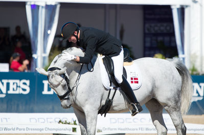 Para Dressage
Grade III
Keywords: Jolene Hill;Tobias Thorning Joergensen;cp