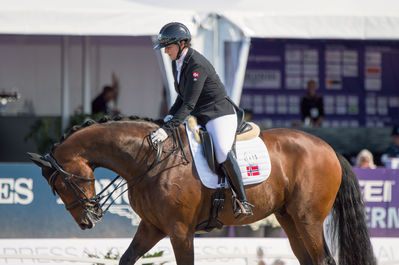 Para Dressage
Grade IV
Keywords: Anita Hennie Johnsen;Lindegaard Lucky;cp