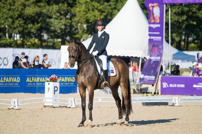 Para Dressage
Grade V
Keywords: moromax;nicole johnsen;cp