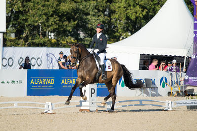 Para Dressage
Grade V
Keywords: moromax;nicole johnsen;cp