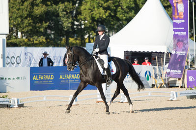 Para Dressage
Grade V
Keywords: calique V;stine skillebekk;cp