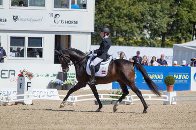 Para Dressage
Grade II
Keywords: Goerklintgaards Quater;Katrine kristensen;cp