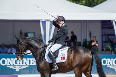 Para Dressage
Grade II
Keywords: Goerklintgaards Quater;Katrine kristensen;cp